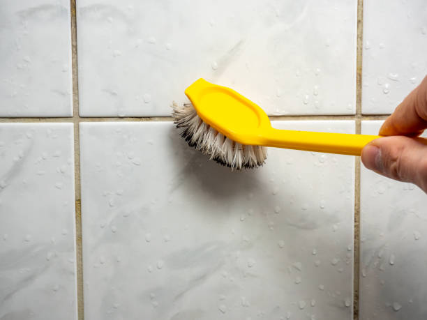 Best Best Mold Removal Companies  in Lagrange, GA